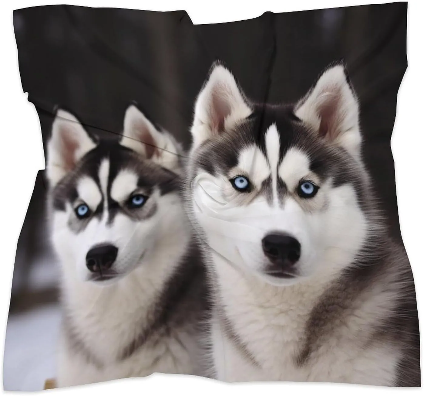 25" Silk Scarf Lightweight Satin Husky Dog Head Scarf Fashion Neck Head Scarves Headband Silk Scarves for Women Men Boho Hair Wrap Kerchief Hair Bandanas Square Neckerchief